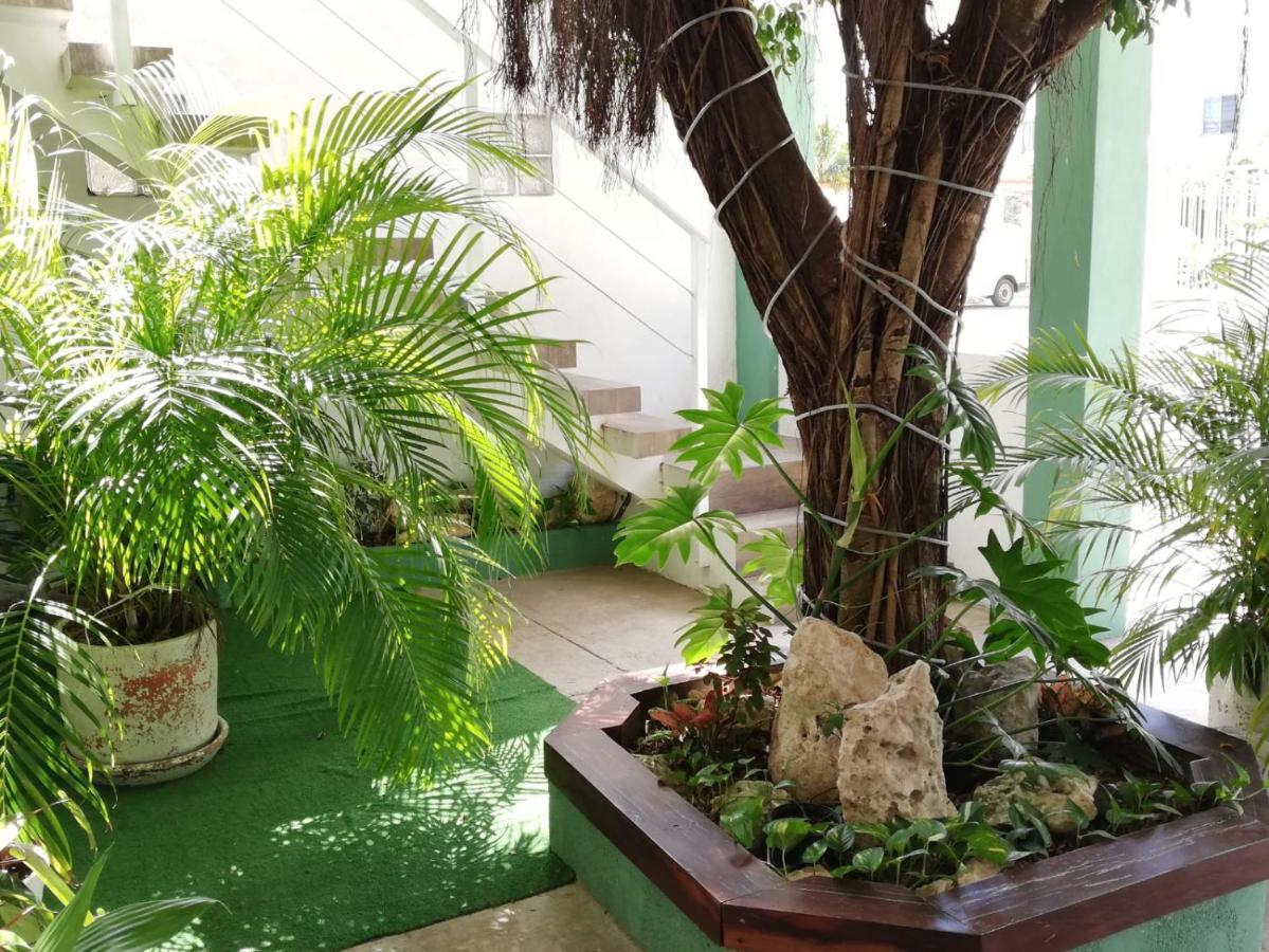 Апартаменты Quetzal Loft Канкун Экстерьер фото